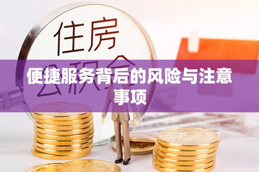 玛沁便捷服务背后的风险与注意事项